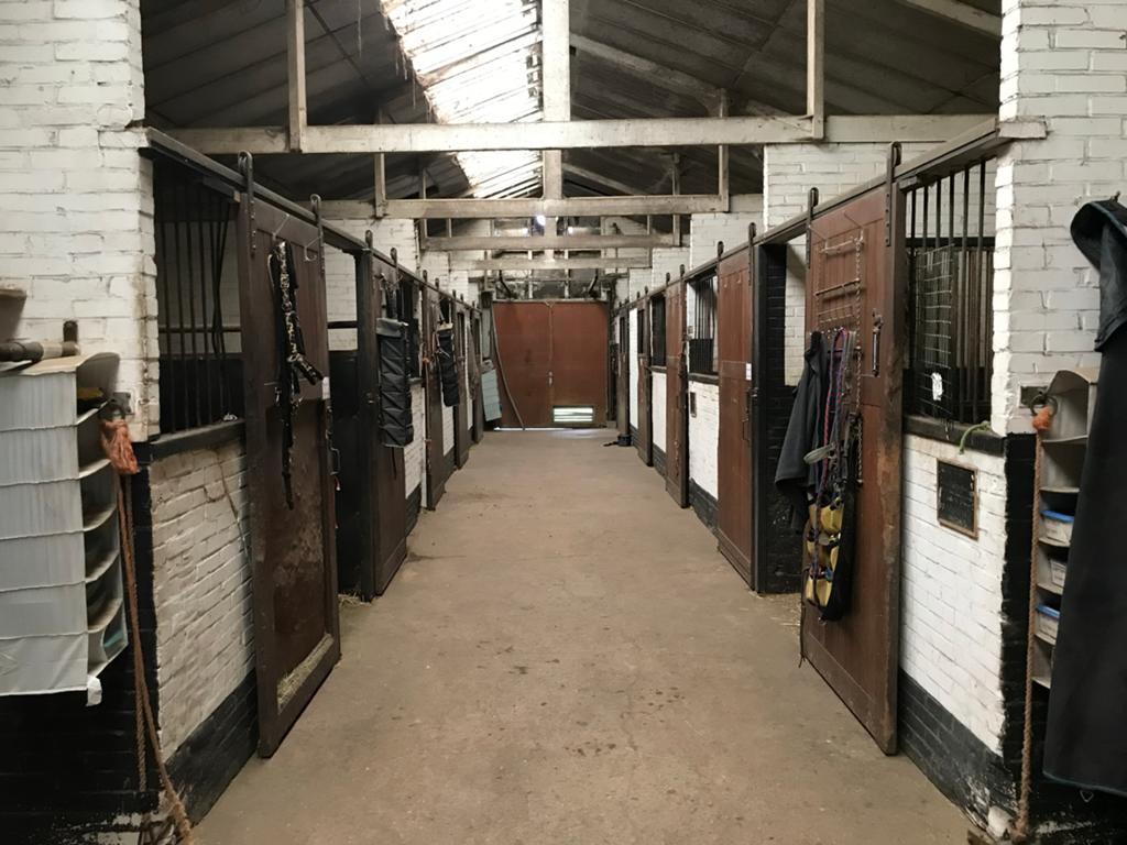 1 plekje vrij per 1 juli voor sociale ruin of merrie, Dieren en Toebehoren, Stalling, 1 paard of pony