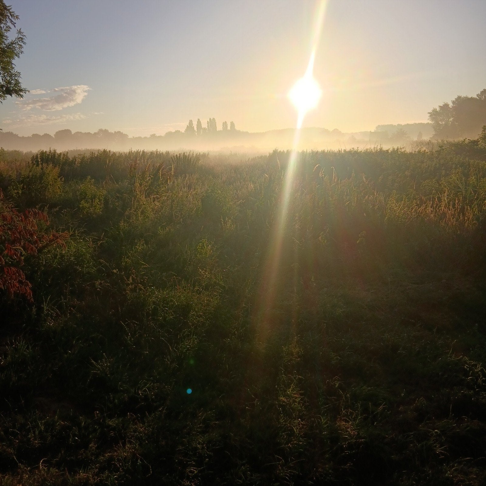 liedje mooi west friesland, Ophalen of Verzenden