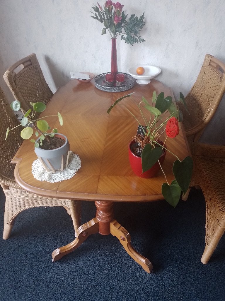 Tafel met 5 stoelen, Ophalen, Gebruikt, 100 tot 150 cm, 50 tot 100 cm