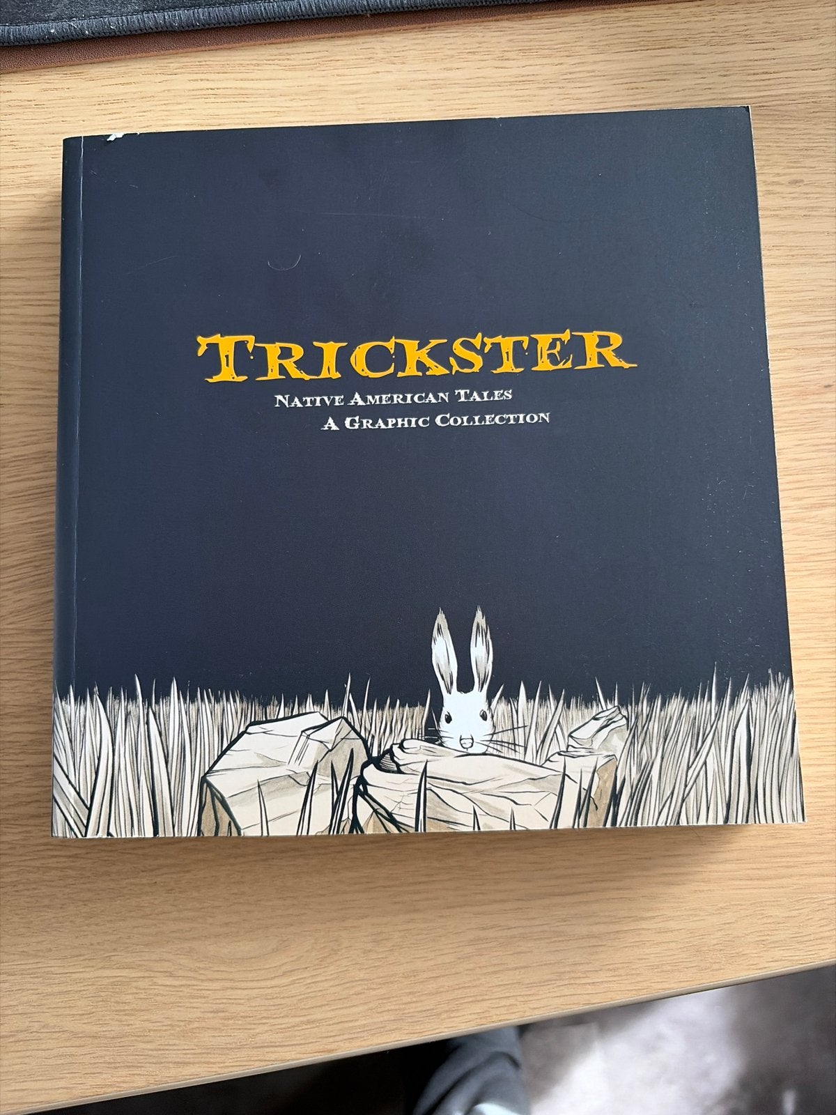 Trickster: Native American Tales - Graphic Collection, Boeken, Eén stripboek, Ophalen of Verzenden, Nieuw