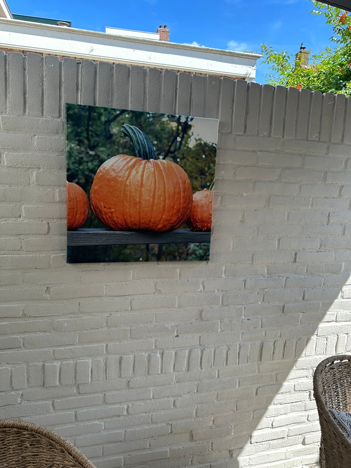 Buiten schilderij pompoenen, Ophalen, Gebruikt