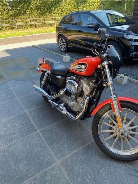 Harley Davidson Sportster 883, Motoren, Motoren | Harley-Davidson, Particulier, Toermotor, meer dan 35 kW, 2 cilinders, Handgeschakeld
