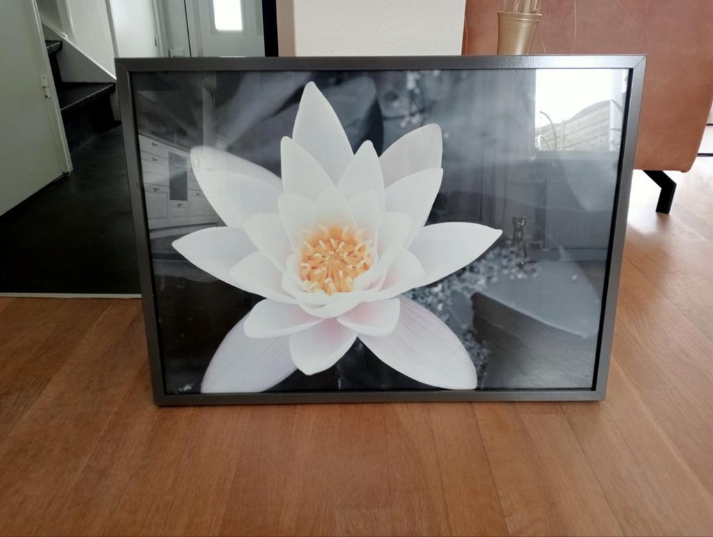 Schilderij/lijst te koop, Huis en Inrichting, Woonaccessoires | Schilderijen, Tekeningen en Foto's, Ophalen, 50 tot 75 cm, Schilderij
