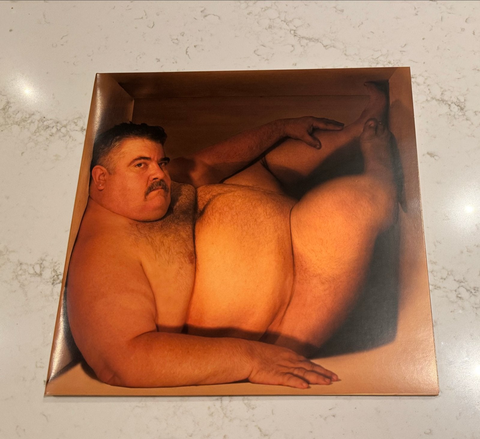 Bloodhound Gang - Hefty Fine LP, LP, Originele persing, Ophalen of Verzenden, 12 inch