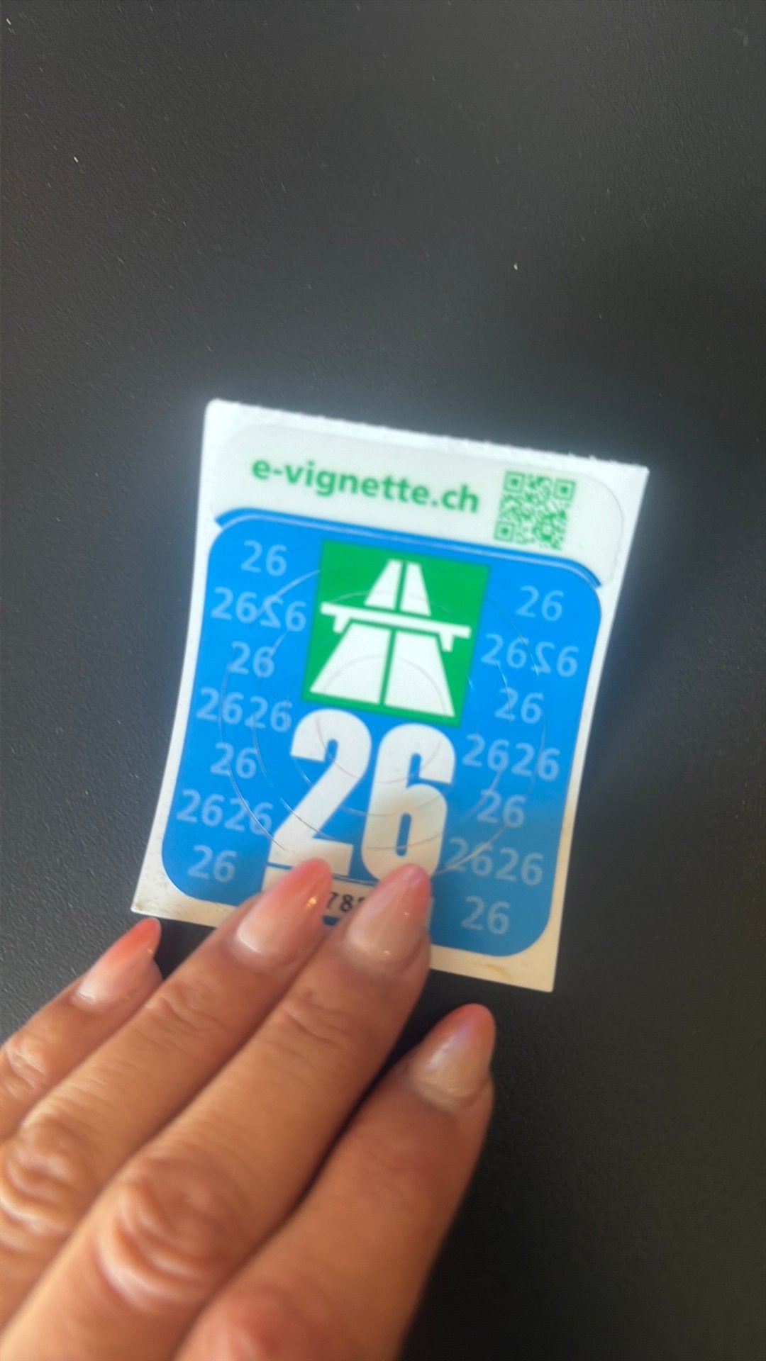 Vinjet Zwitserland, Tickets en Kaartjes, Eén persoon