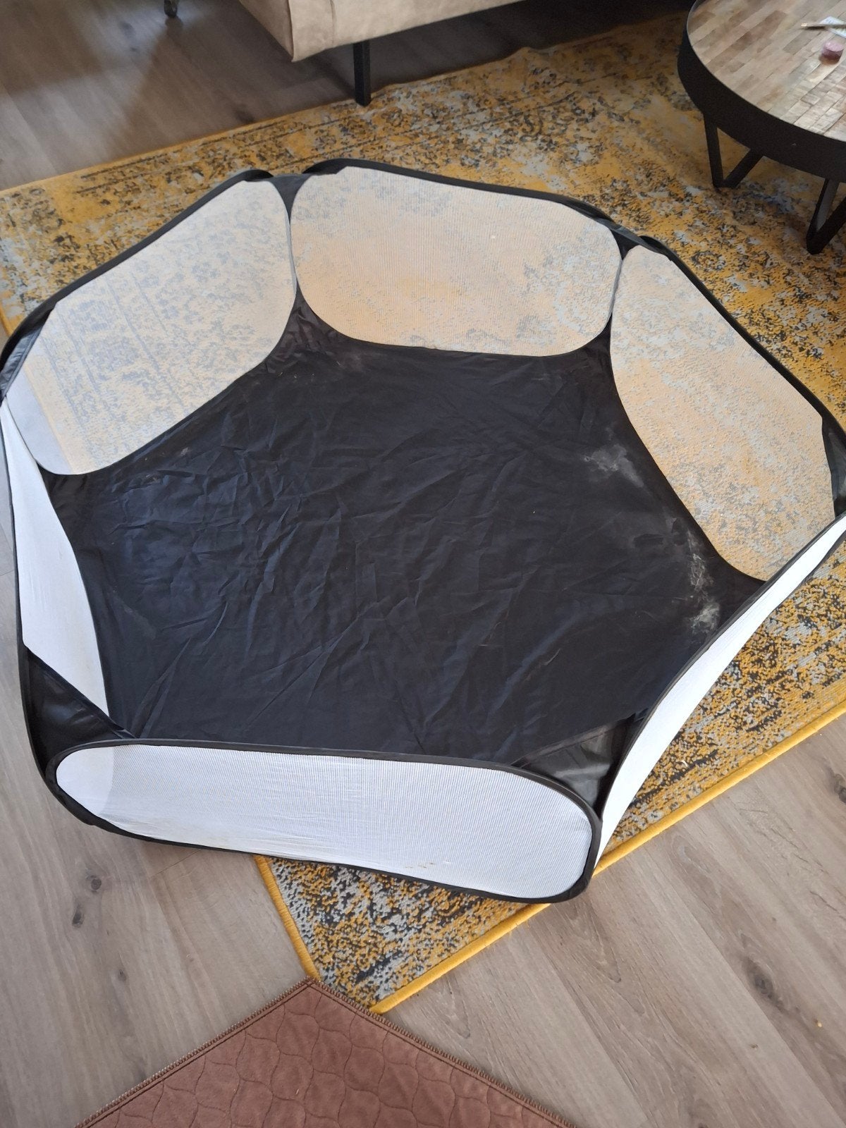Opvouwbare pop-up ren voor cavia's met waterdichte deken, Minder dan 60 cm, Gebruikt, Ophalen of Verzenden, Ren