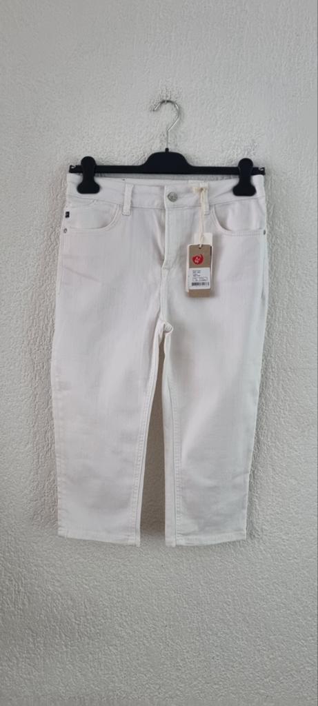 Dames kniebroek merk Tripper maat Medium Nieuw, Maat 38/40 (M), Tripper., Wit, Nieuw
