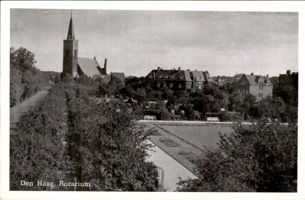 Den Haag - Rozarium - Gezicht, Ophalen of Verzenden, 1920 tot 1940, Ongelopen, Zuid-Holland