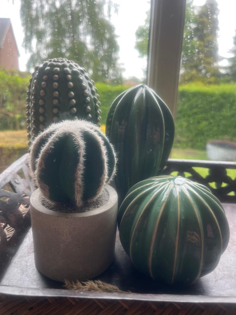 Decoratieve cactussen van aardewerk, Groen, Ophalen of Verzenden, Zo goed als nieuw, Modern