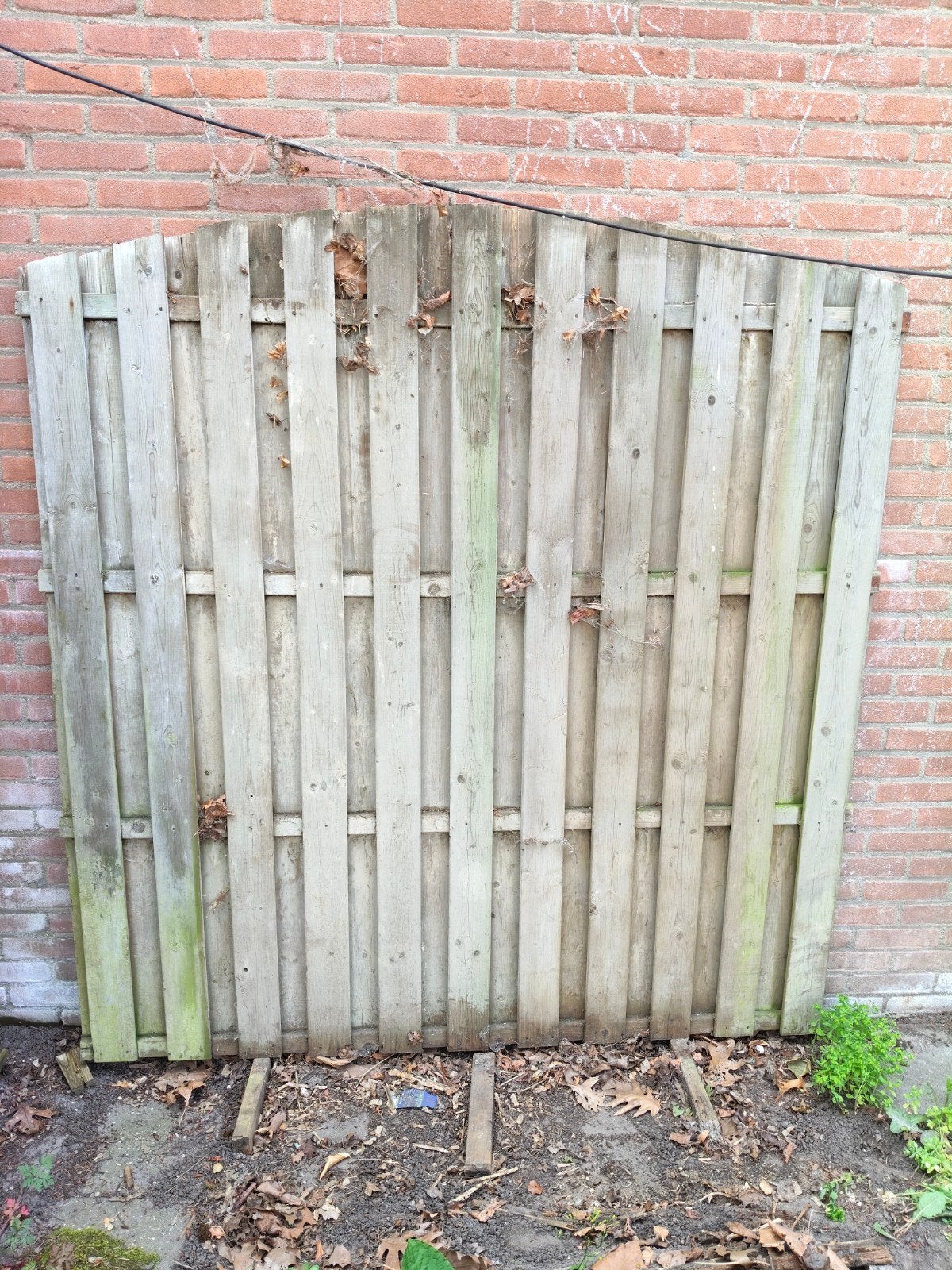 Houten schuttingdelen en gaaspanelen - Garden Line, Ophalen, Minder dan 3 meter, Hout, 1 tot 2 meter