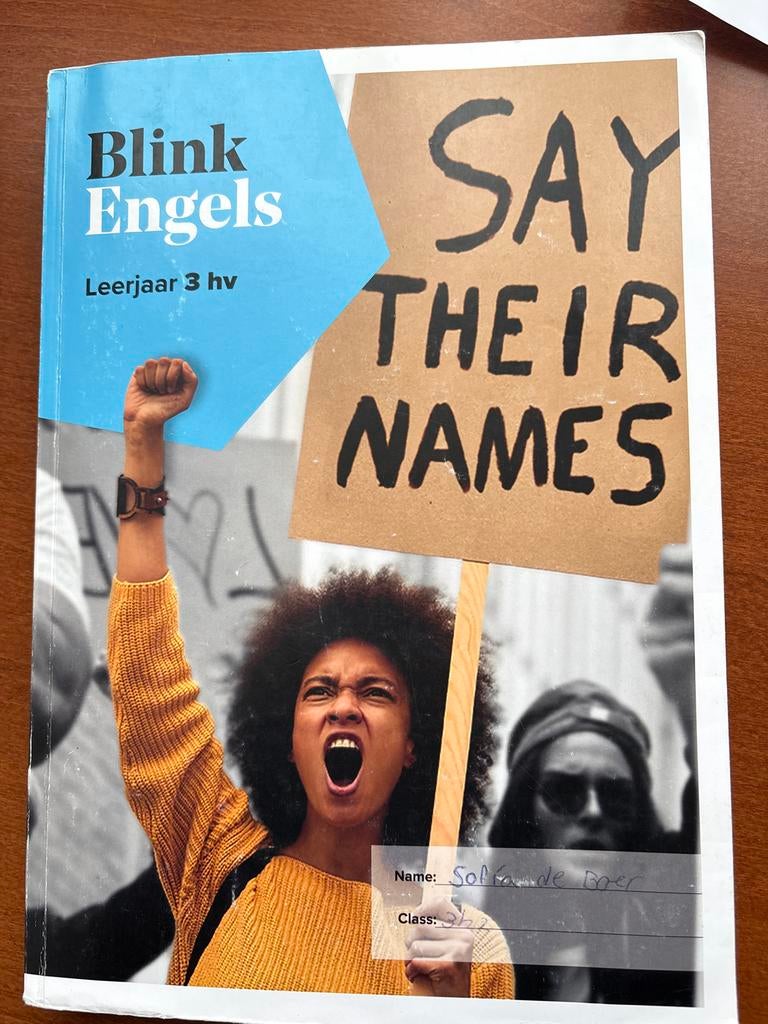 Blink Engels 3hv - Leerboek, Boeken, Schoolboeken, Ophalen of Verzenden, Zo goed als nieuw, HAVO, Engels