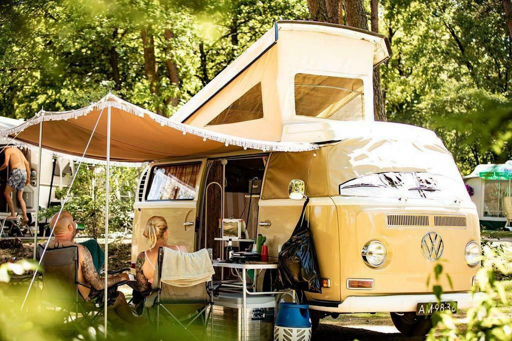Kamperen of Huisje op Camping in Ermelo op de Veluwe, Vakantie, Wasmachine, In bos, Landelijk