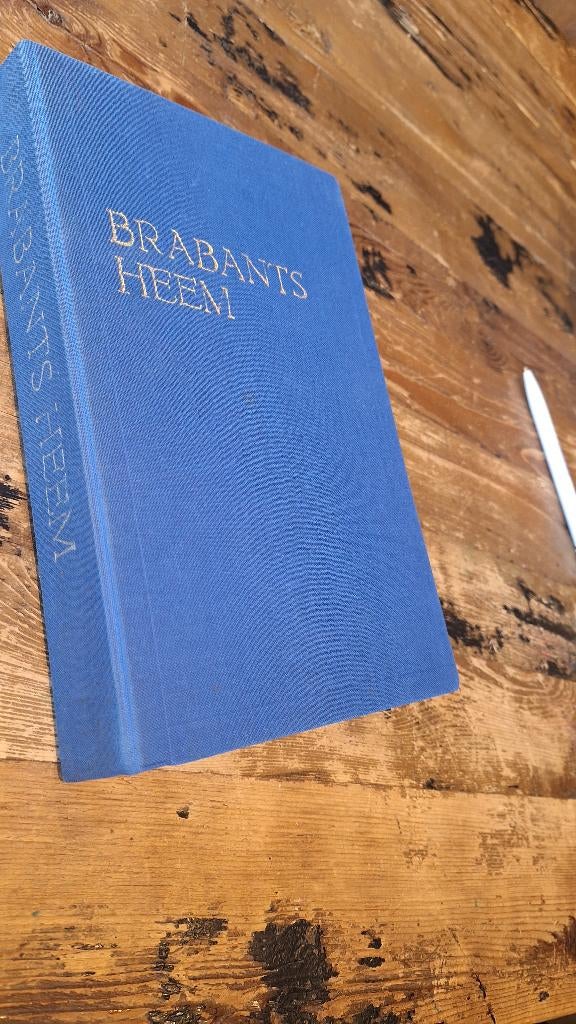 bodemvondst: Brabants Heem - archeologie - Noord Brabant, Boeken, Ophalen of Verzenden, Gelezen