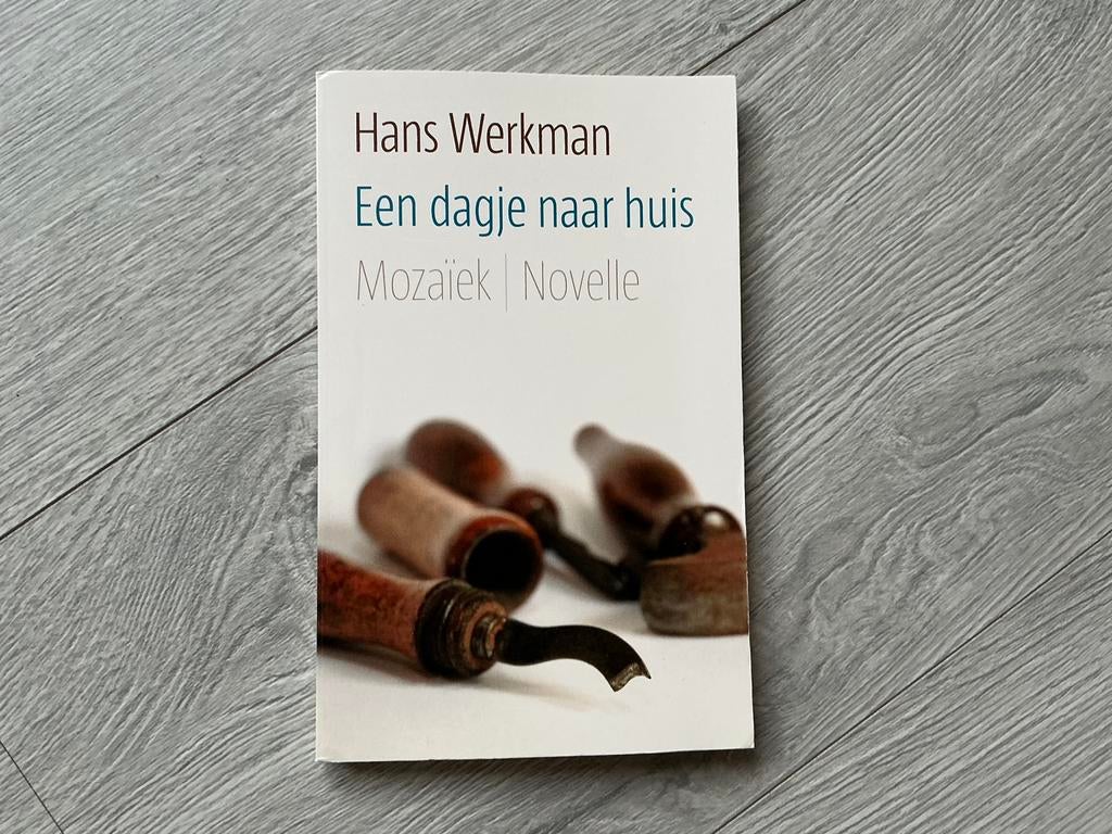 Hans Werkman - Een dagje naar huis, Boeken, Literatuur, Zo goed als nieuw, Ophalen of Verzenden