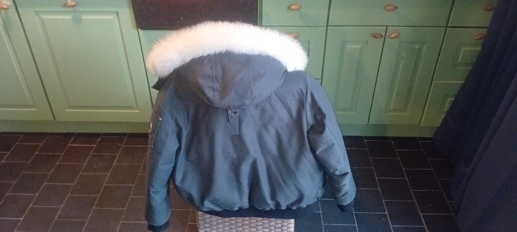 Moose knuckles jas, Ophalen, Overige kleuren, Moose knuckles, Maat 56/58 (XL)