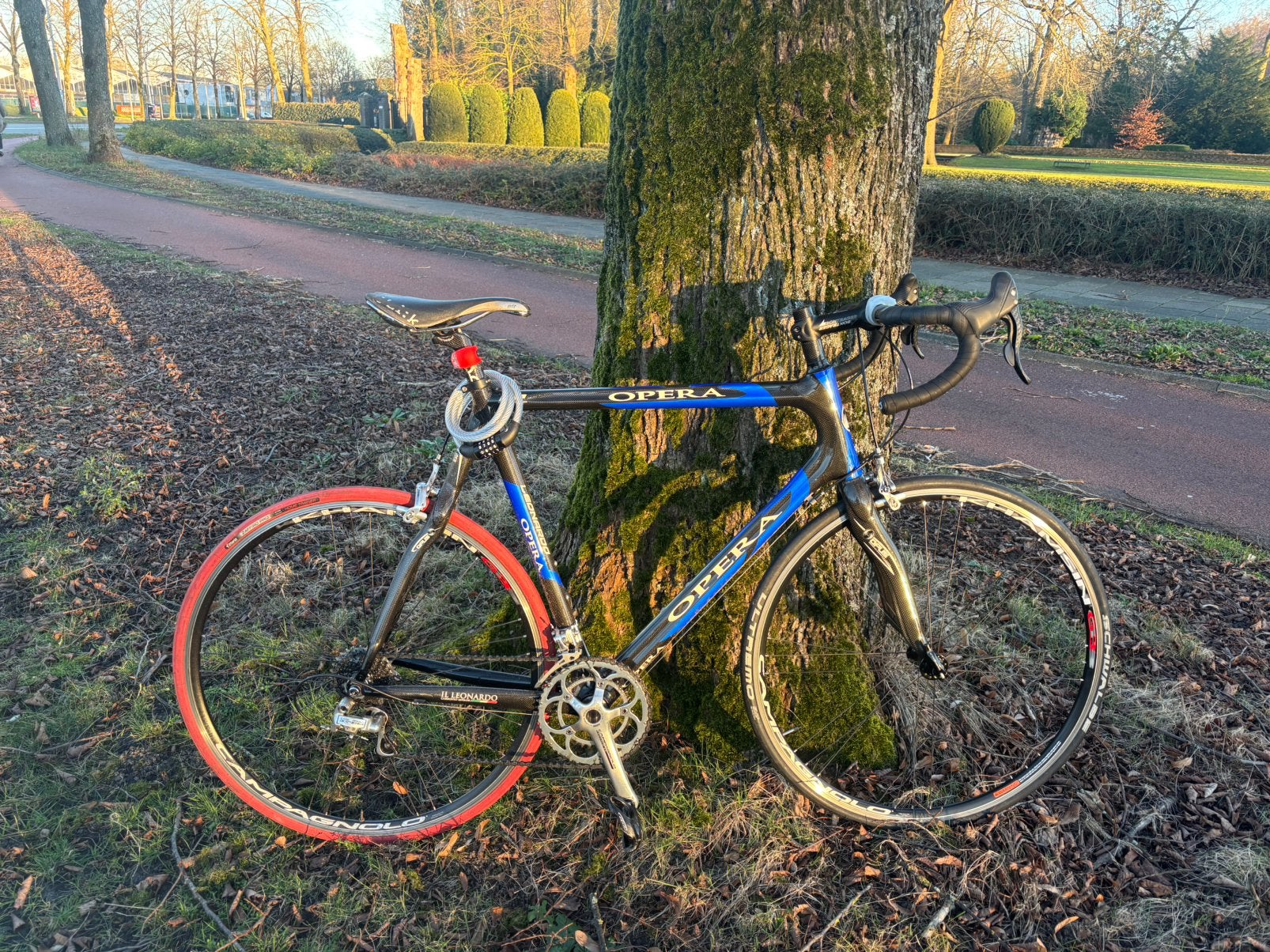 Opera Il Leonardo Pinarello carbon Campagnolo, Fietsen en Brommers, Fietsen | Racefietsen, Overige merken, Gebruikt, Carbon, 10 tot 15 versnellingen