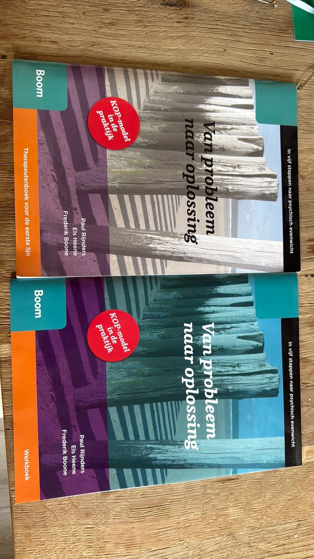 Paul Rijnders - Therapeutenboek en werkboek, Ophalen of Verzenden, Zo goed als nieuw, Paul Rijnders; Els Heene; Frederik Boone