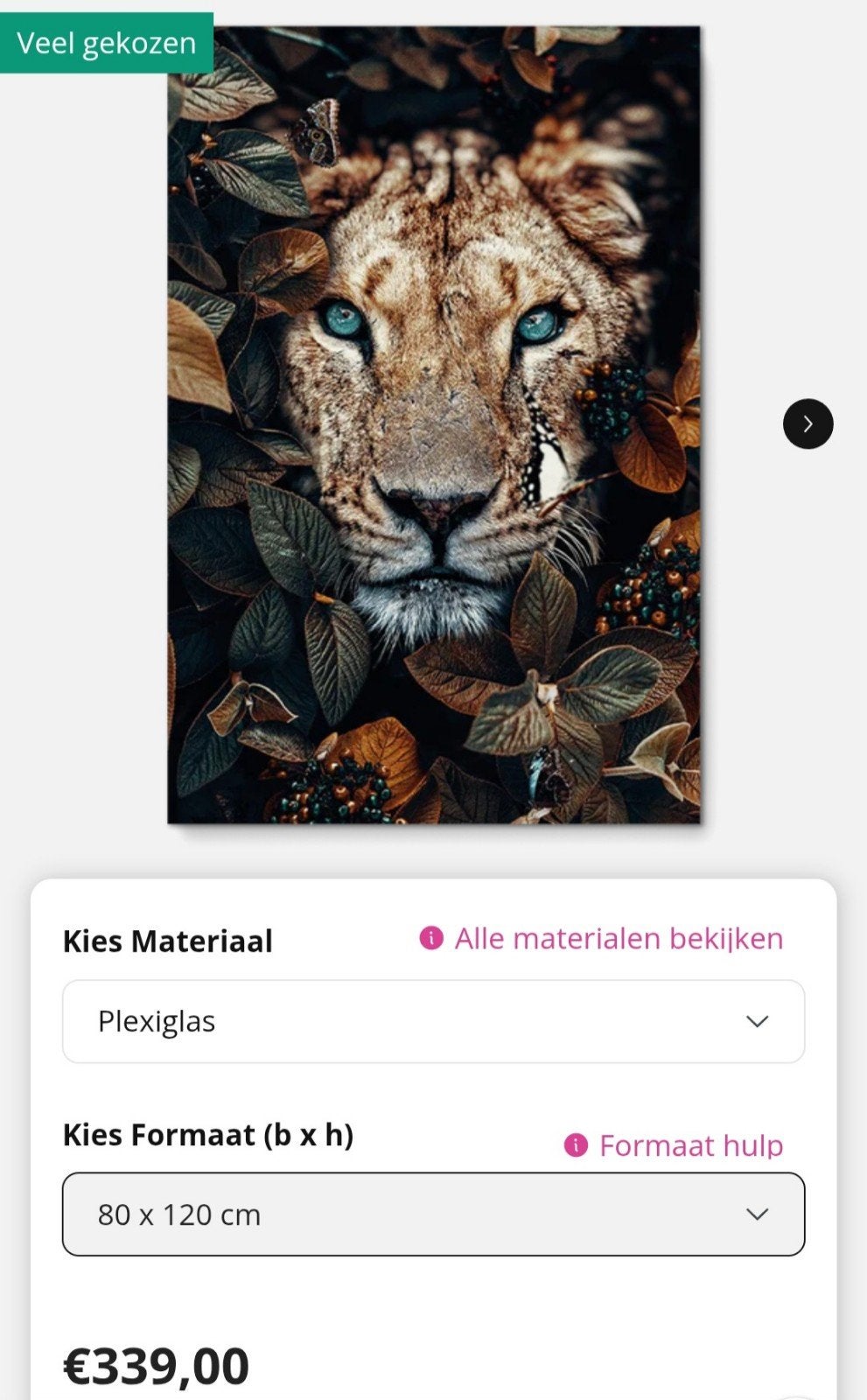 Junkie XL poster plexiglas, Ophalen of Verzenden, Zo goed als nieuw, Schilderij, 75 – 100