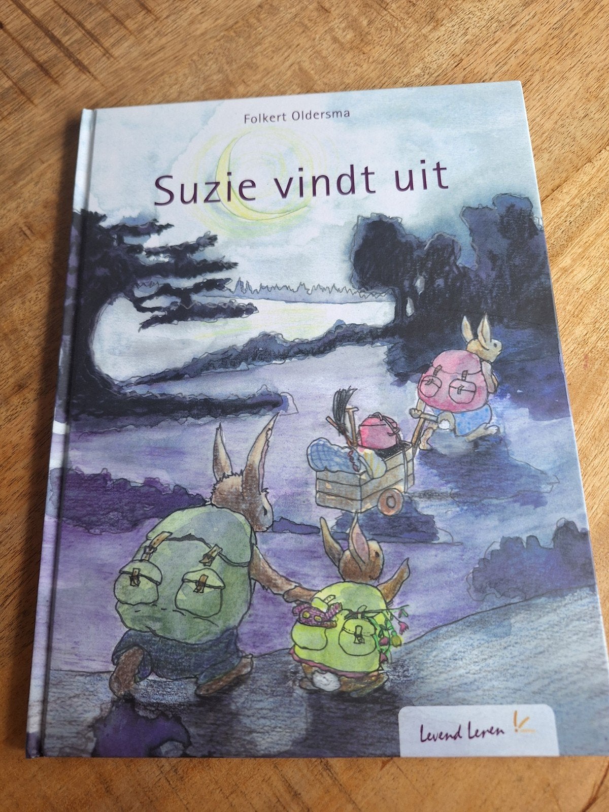 Suzie vindt uit, Fictie algemeen, Folkert Oldersma, Nieuw, Ophalen of Verzenden