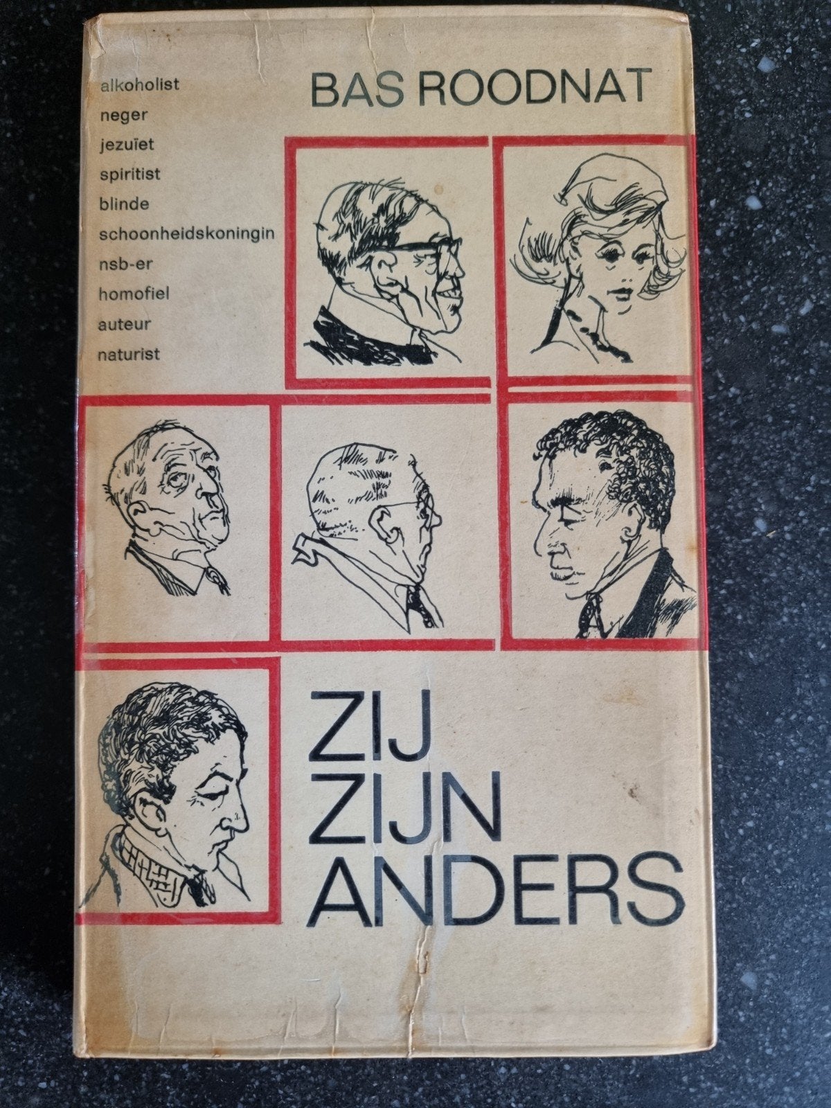 Zij Zijn Anders - Bas Roodnat (1963), Ophalen of Verzenden, Gelezen, Bas Roodnat, Nederland