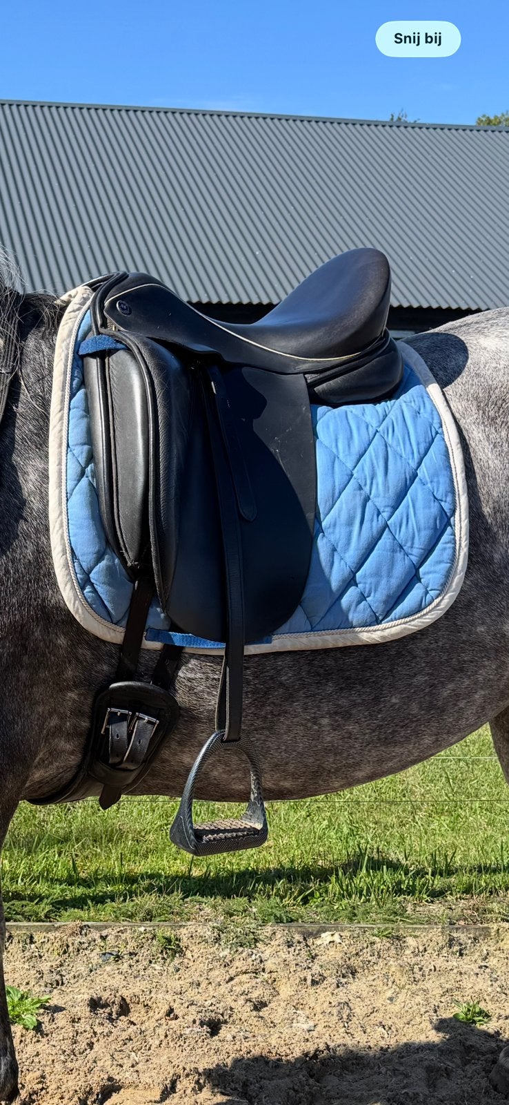 Arno Brandt 17,5 inch uniek zadel met afneembare kniewrongen, Dieren en Toebehoren, Ophalen, L (17.5 inch), Gebruikt, Dressuur