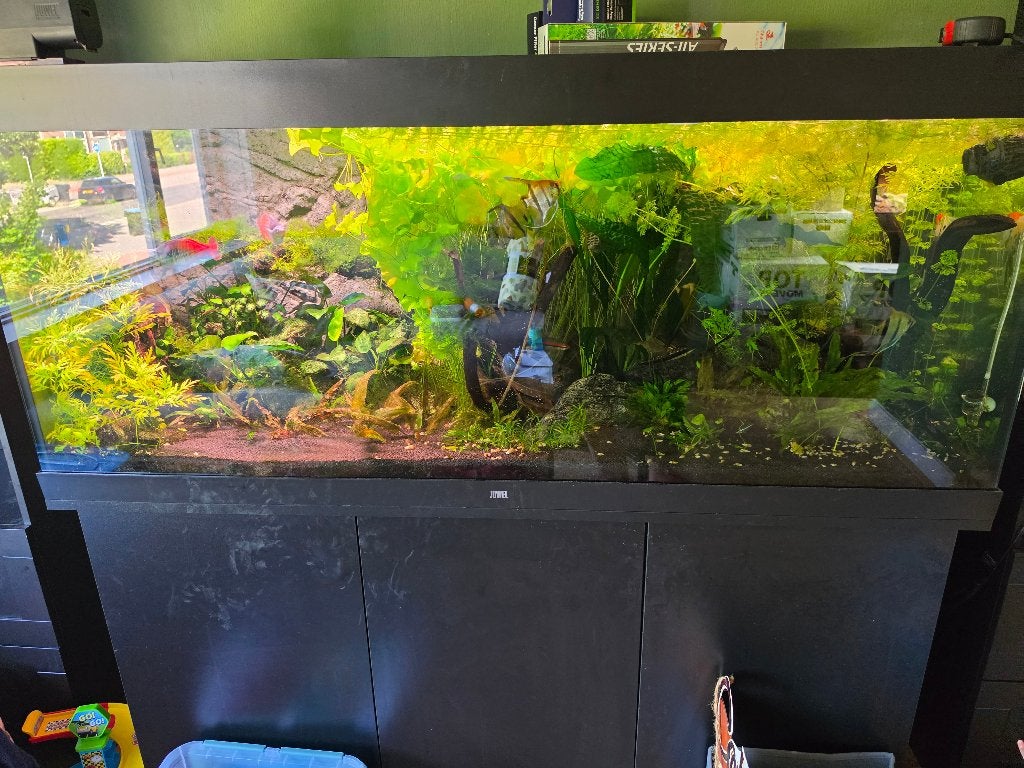 Aqaurium Juwel 450, Ophalen, Gebruikt, Inclusief deksel, Verlichting of Verwarming