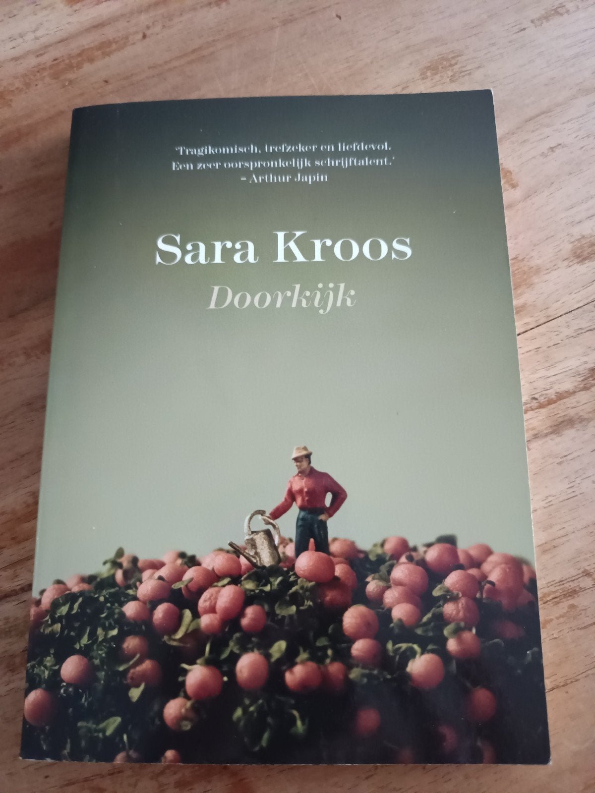 Sara Kroos - Doorkijk (Boek), Ophalen, Zo goed als nieuw, Sara Kroos