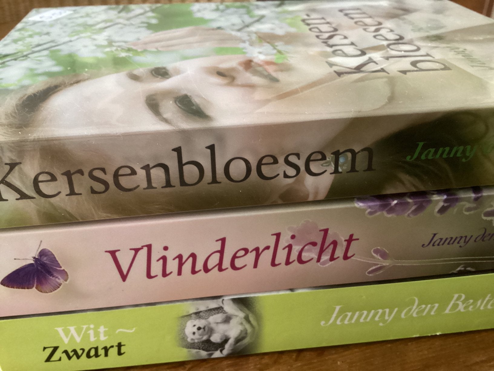 Janny den Besten: 3 boeiende romans, Ophalen of Verzenden, Zo goed als nieuw