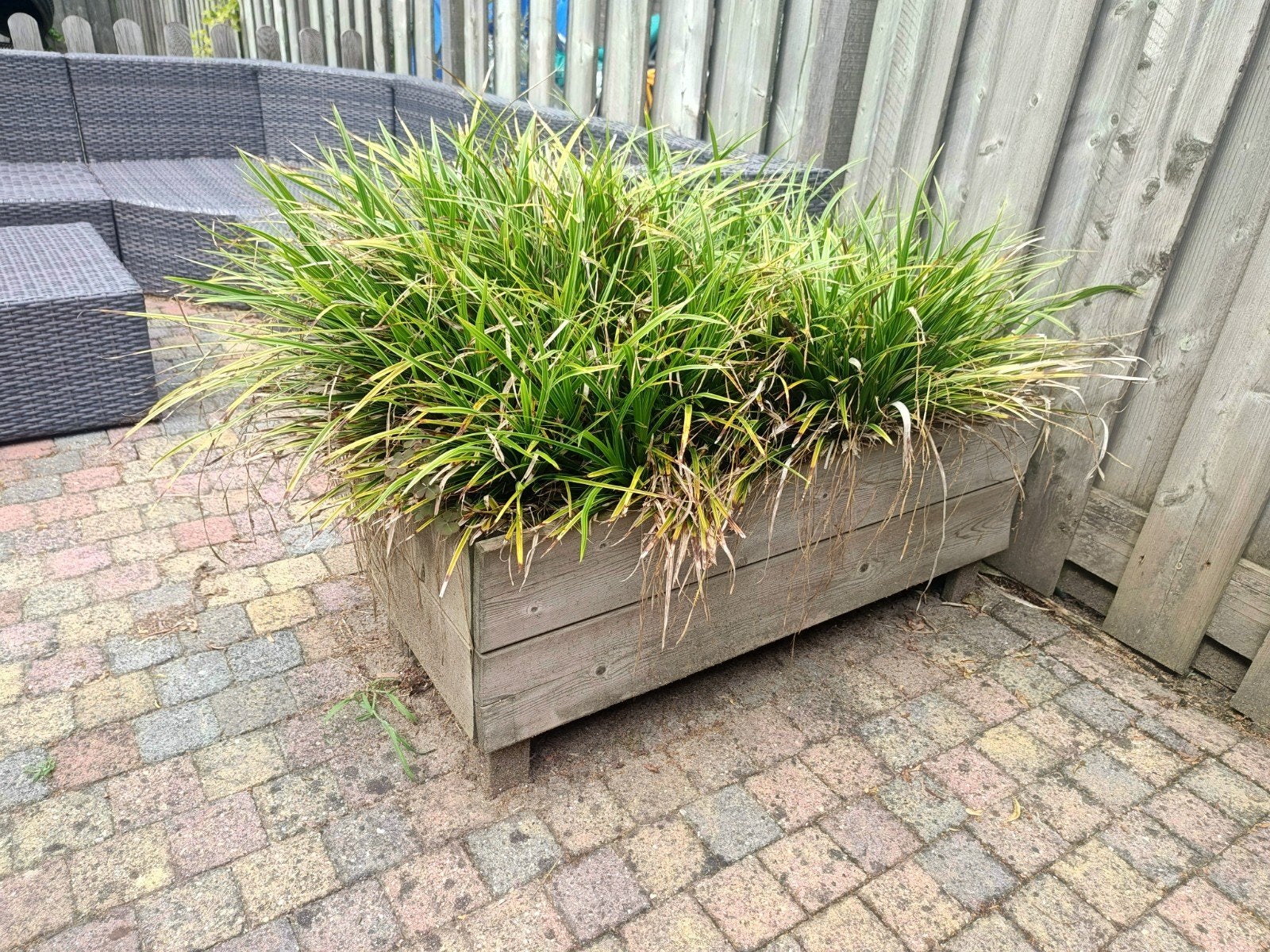 Zelfgemaakte houten plantenbak met siergras, Ophalen, Gebruikt, 100 cm of meer, Balkon