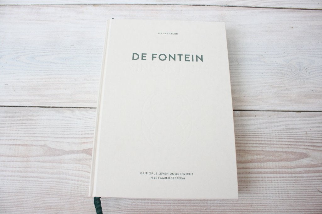 De Fontein - Vind je plek - Els van Steijn, Boeken, Ophalen of Verzenden, Zo goed als nieuw, Els van Steijn