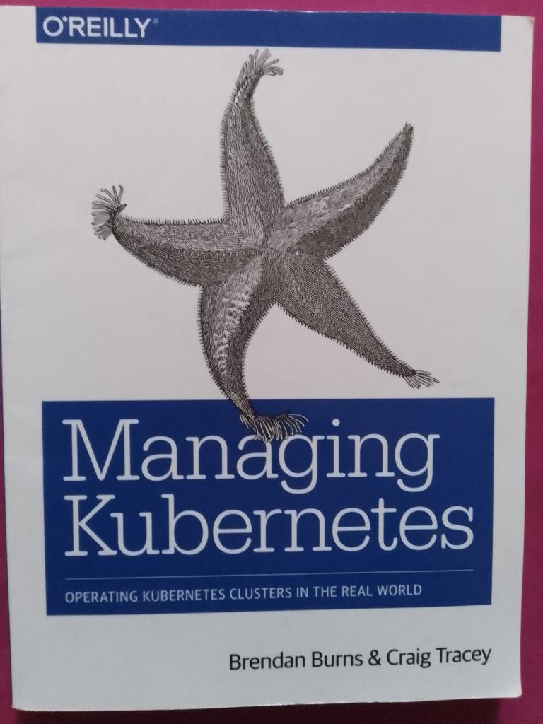 Managing Kubernetes, Ophalen of Verzenden, Zo goed als nieuw, Software