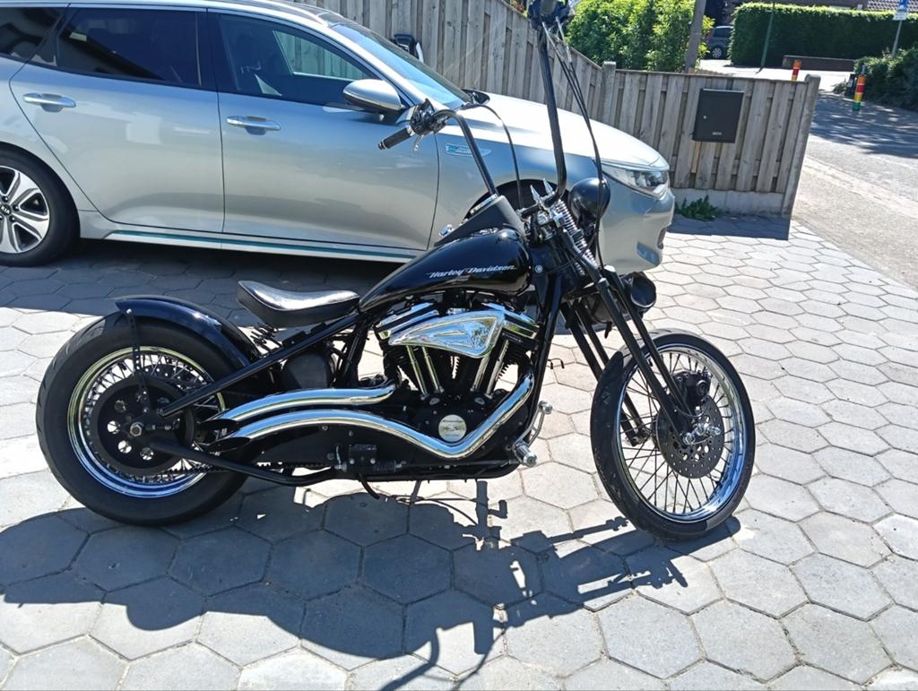 Harley-Davidson Sportster 1200 Custom, Particulier, Chopper