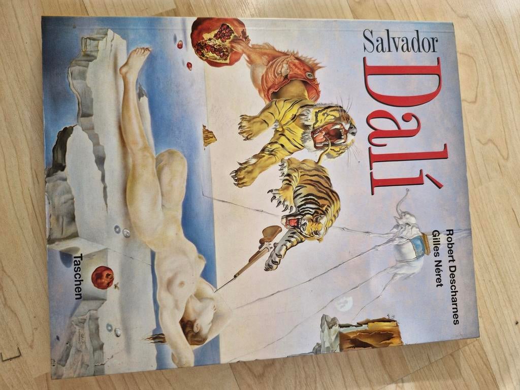 Salvador Dalí en Antoni Gaudí boeken, Ophalen of Verzenden