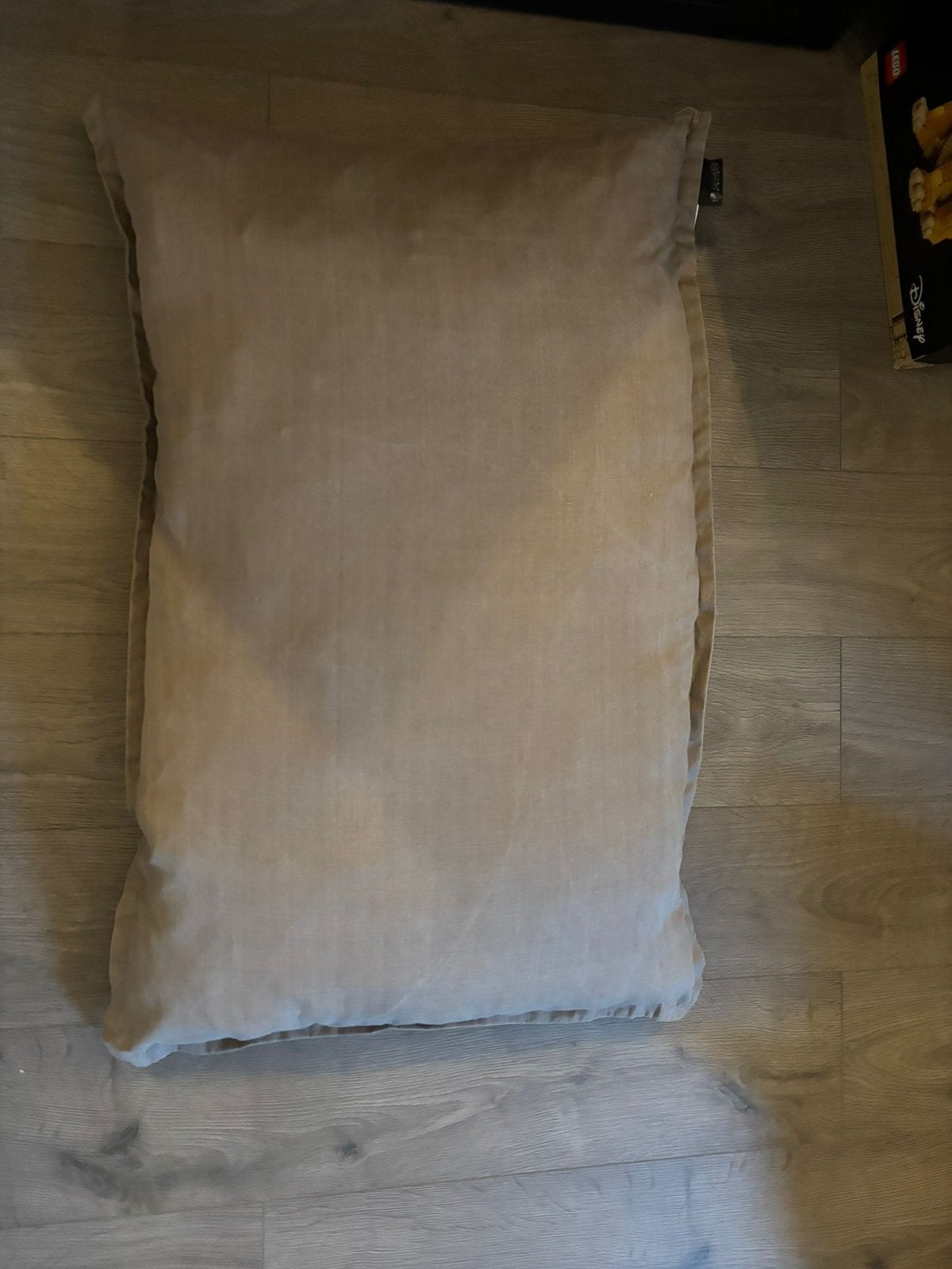 Honden lounge kussen, Huis en Inrichting, Woonaccessoires | Kussens, Ophalen, Beige, Zo goed als nieuw, Rechthoekig
