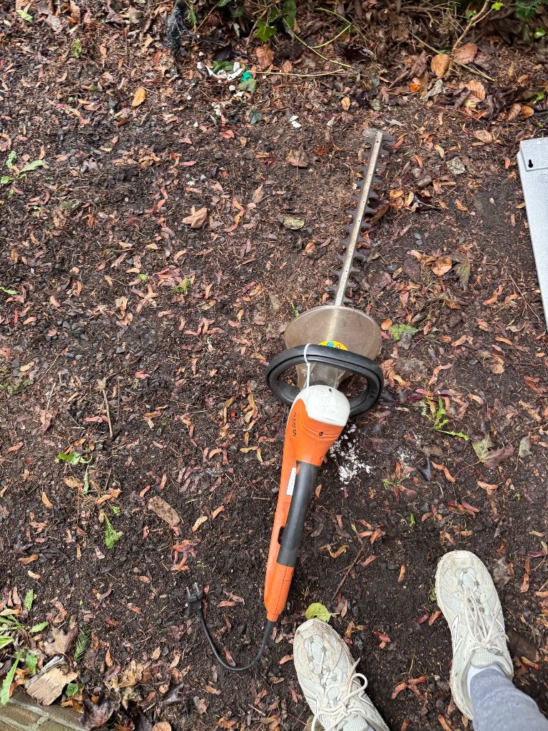 Stihl elektrische heggenschaar, Tuin en Terras, Ophalen, Gebruikt, Elektrisch, Stihl