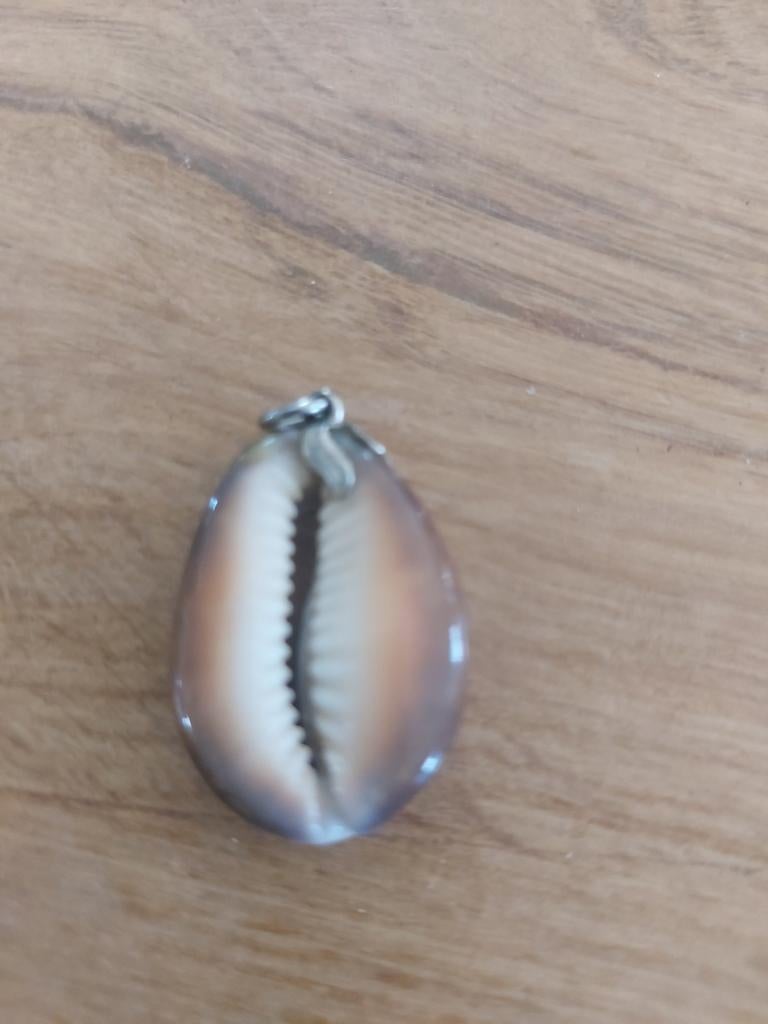 Hanger van schelp, Ophalen