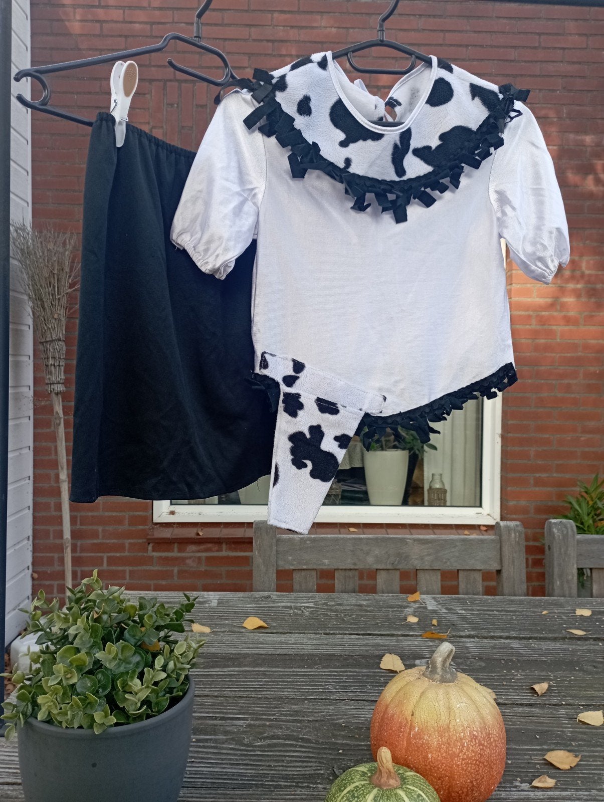 halloweencostuum/verkleed setje cowboy, 5-8 jaar, Ophalen of Verzenden, Meisje