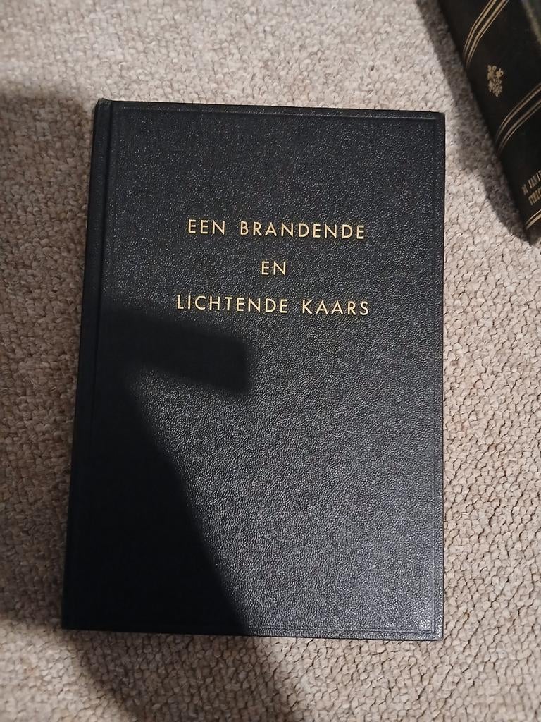 Een Brandende en Lichtende Kaars - Ds. J. Pannekoek, Boeken, Ophalen of Verzenden, Zo goed als nieuw, Ds. J. Pannekoek, Christendom | Protestants