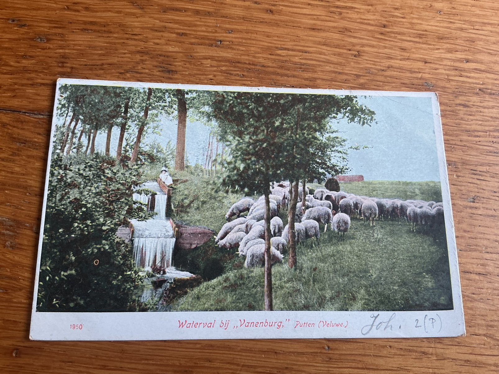 V343 Putten Veluwe waterval bij Vanenburg schaap, Ophalen of Verzenden, Gelderland
