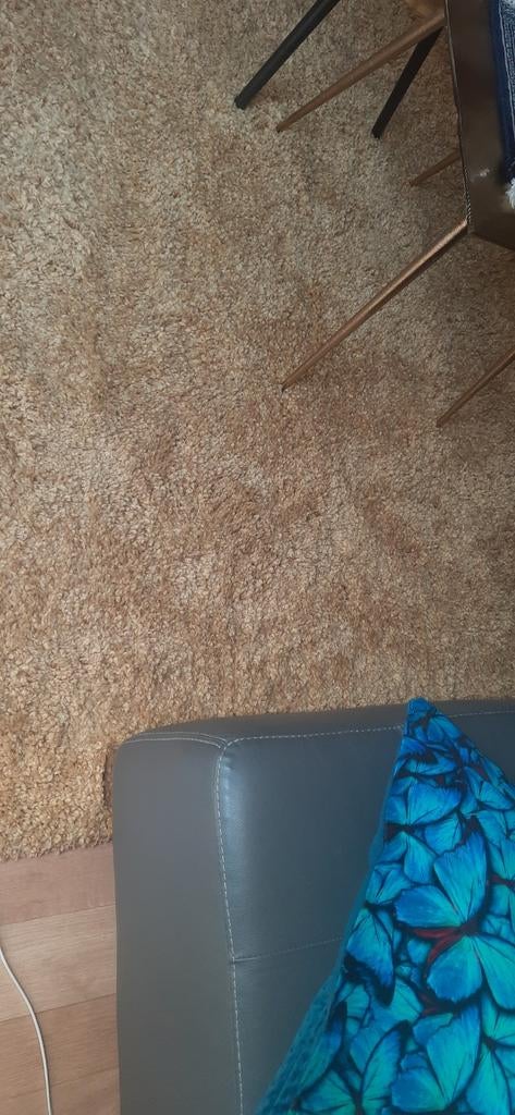 Vloerkleed tapijt karpet, Ophalen, 150 tot 200 cm, 200 cm of meer, Zo goed als nieuw