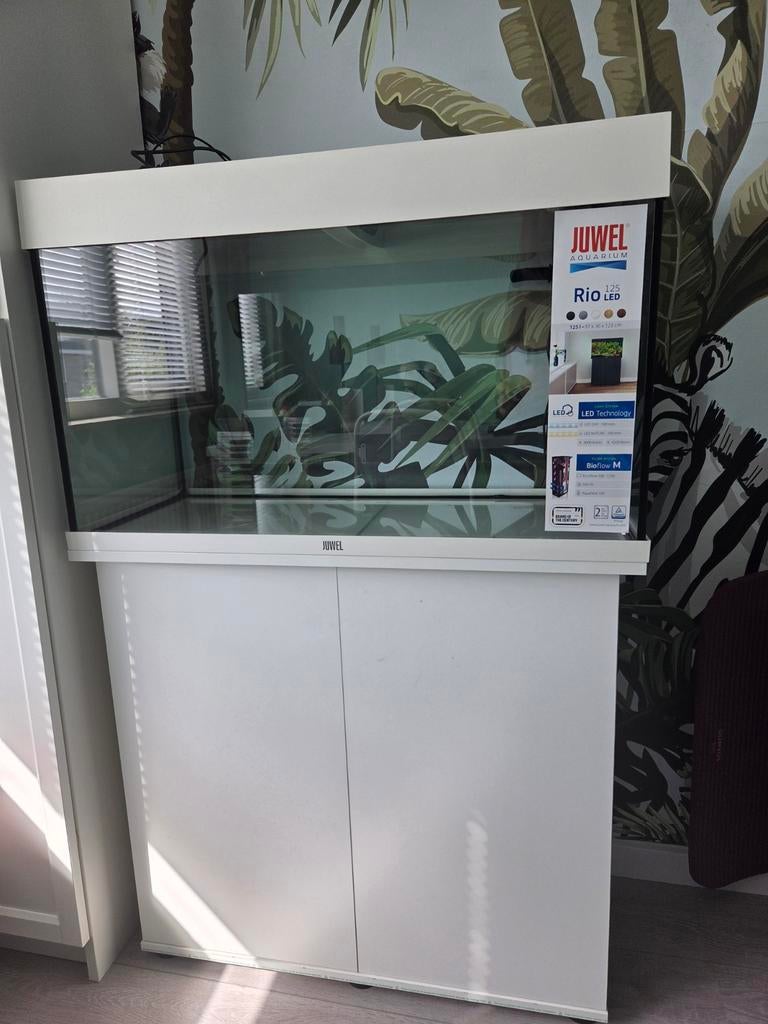Mooie Juwel Rio 125 aquariumset inclusief bijpassende kast, Dieren en Toebehoren, Ophalen, Leeg aquarium