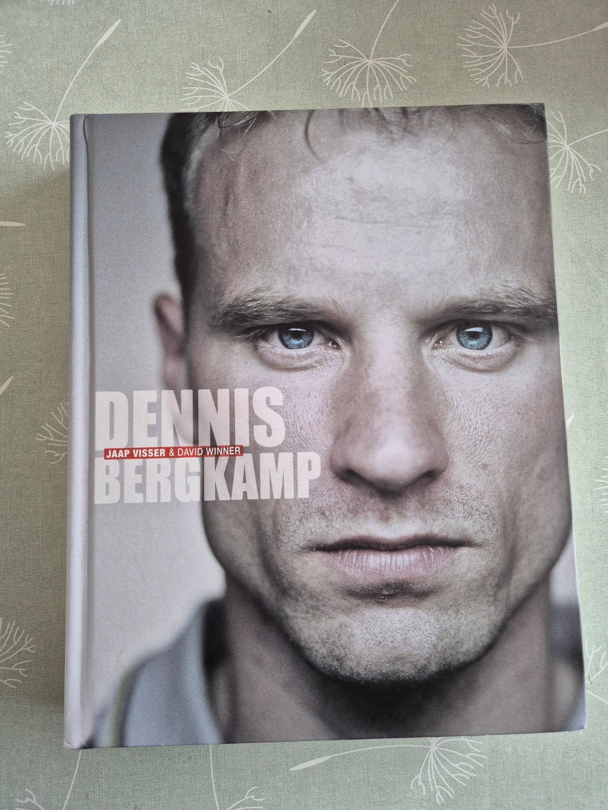 Dennis Bergkamp - Jaap Visser & David Winner, Boeken, Ophalen of Verzenden, Sport, Jaap Visser & David Winner, Zo goed als nieuw