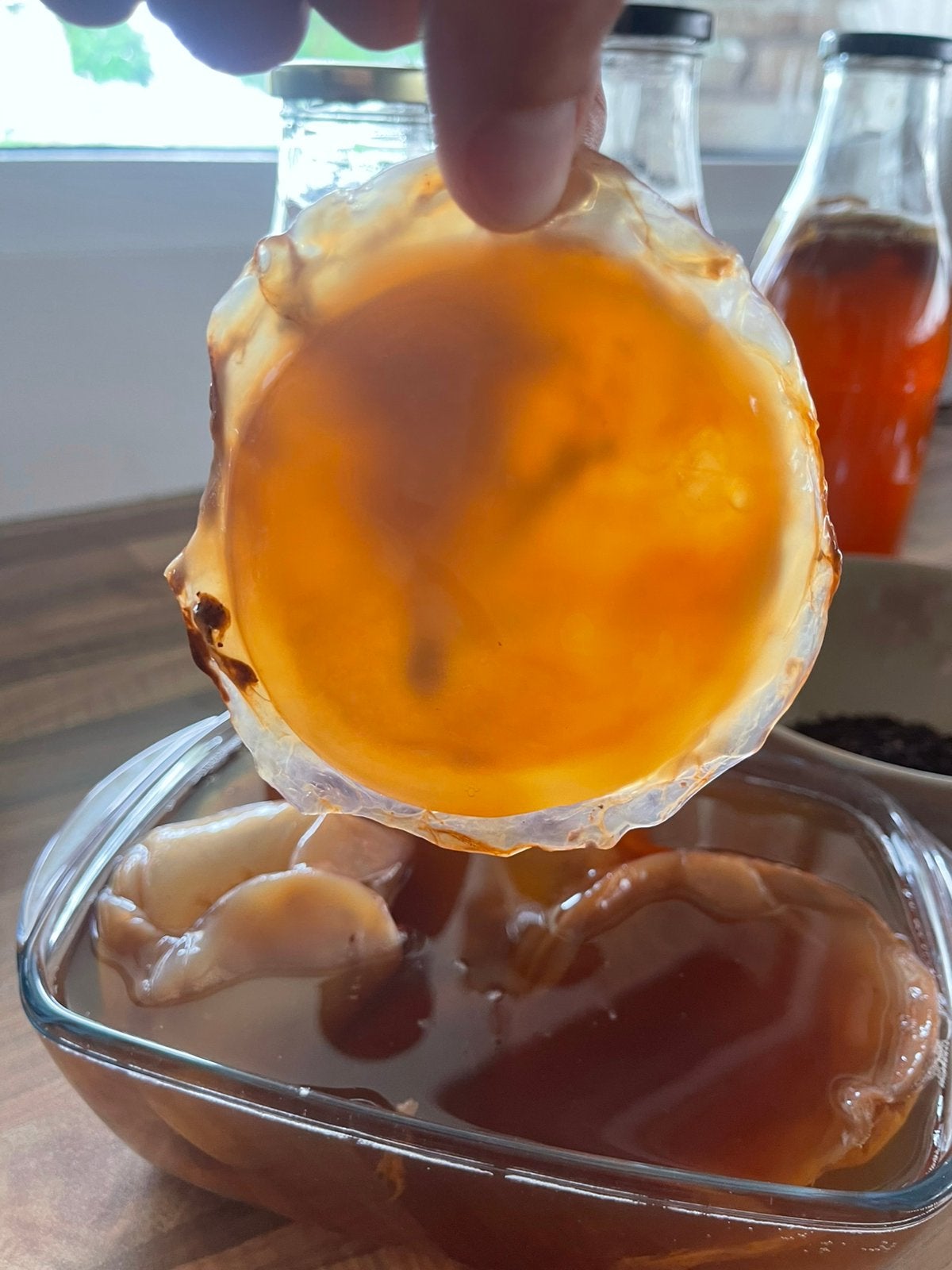 Biologische Kombucha, Ophalen of Verzenden