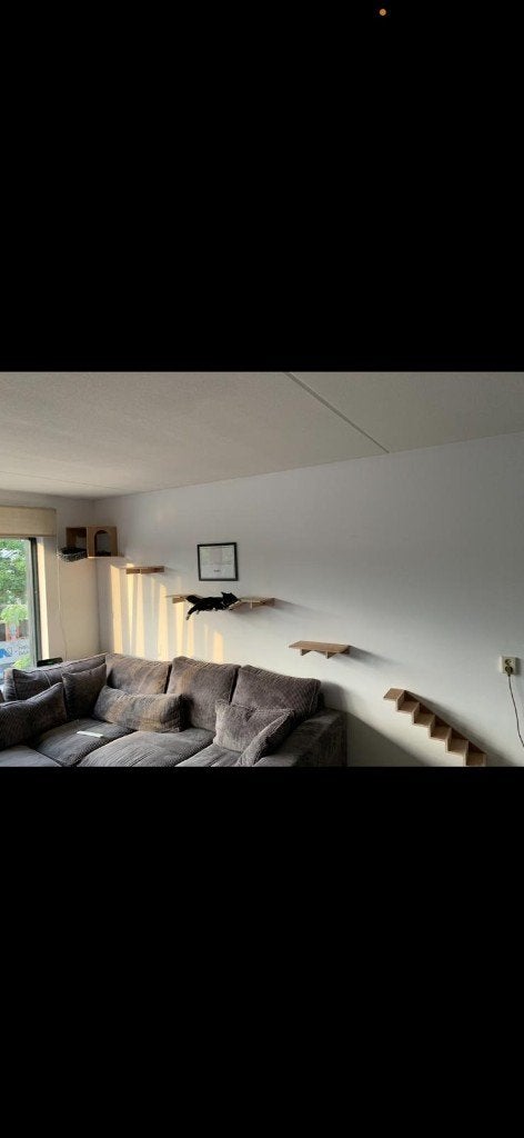 Muurdecoratie / speeltje voor kat, Ophalen, Zo goed als nieuw, Overig speelgoed