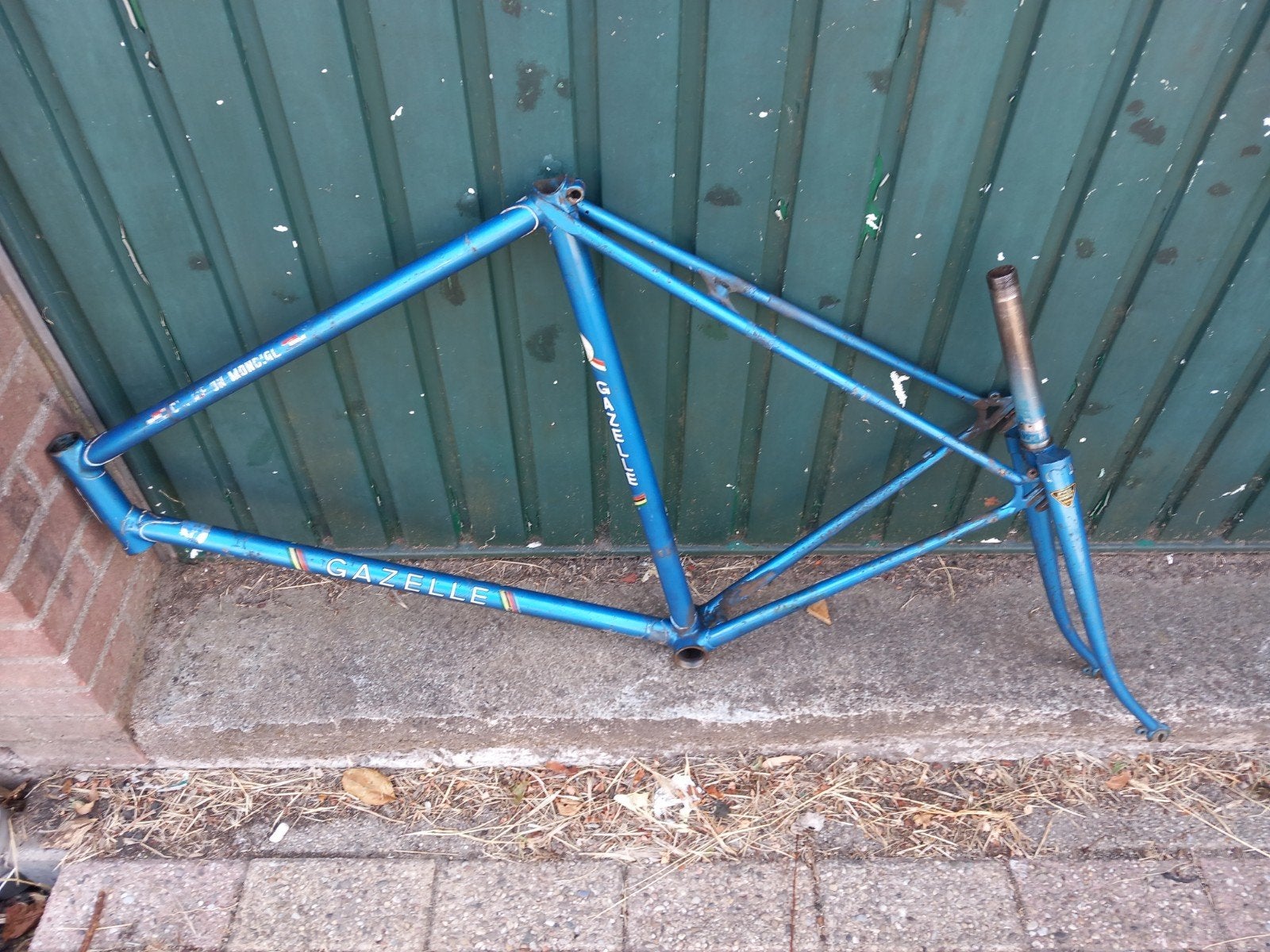 Gazelle Champion Mondial AB frame 57 cm, Frame, Gebruikt, Staal, Ophalen of Verzenden