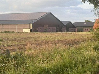 ligboxenstal stal voor demontage te koop bouwjaar 2017, Stalling