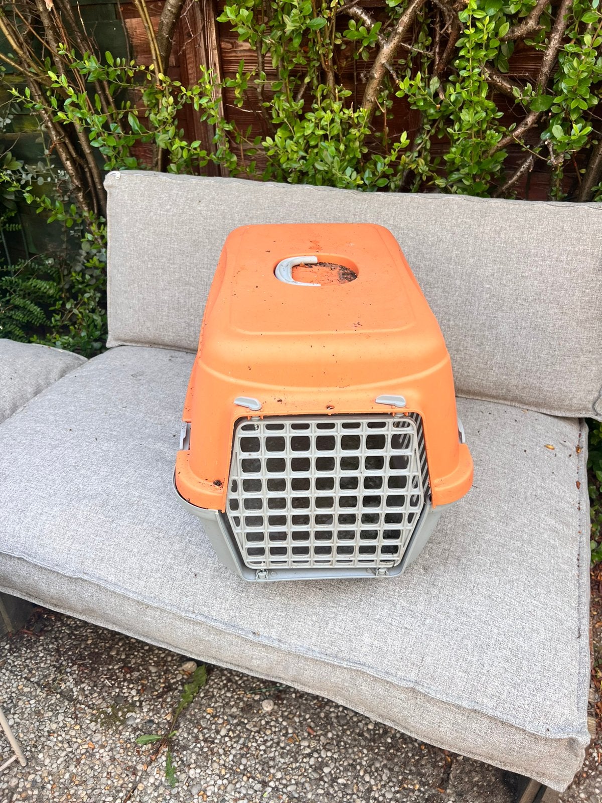 Bensh, Dieren en Toebehoren, Katten-accessoires, Ophalen, Zo goed als nieuw