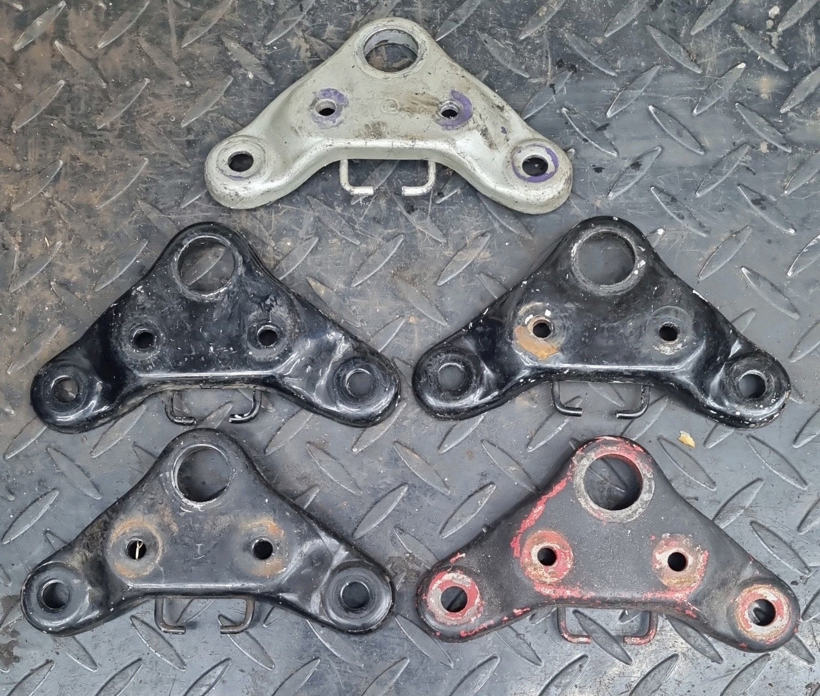 5x Tomos kroonplaat €10, Ophalen of Verzenden, Tomos, Tomos, Tomos