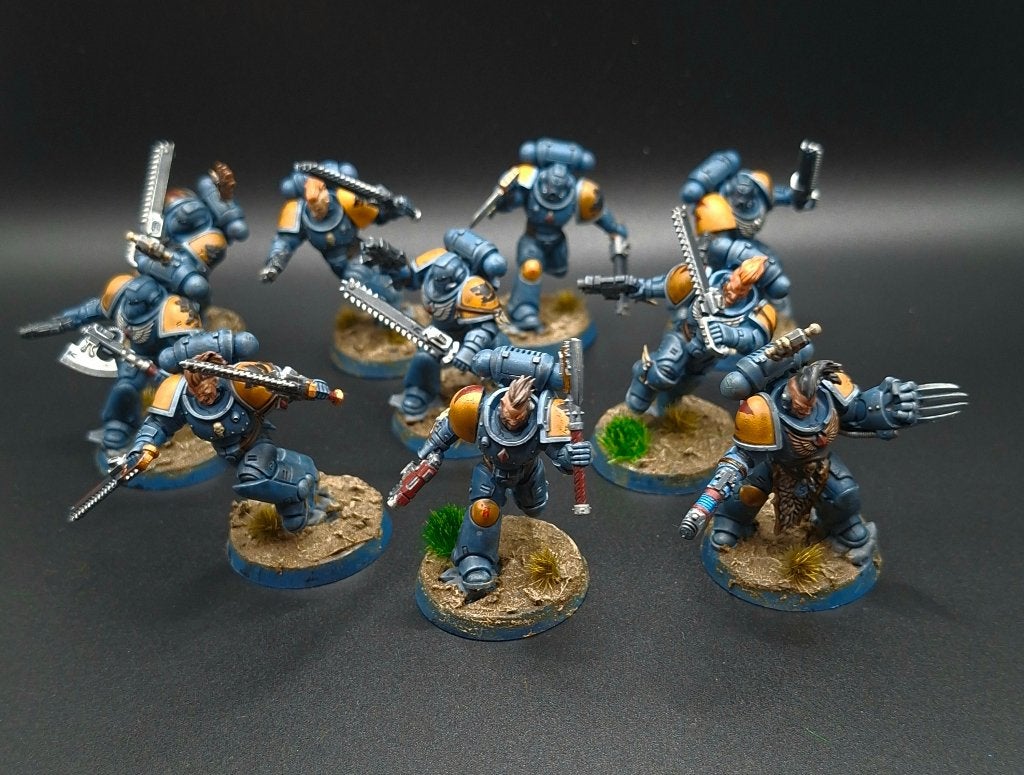 Space wolves, Figuurtje(s), Ophalen of Verzenden, Geverfd, Warhammer 40000