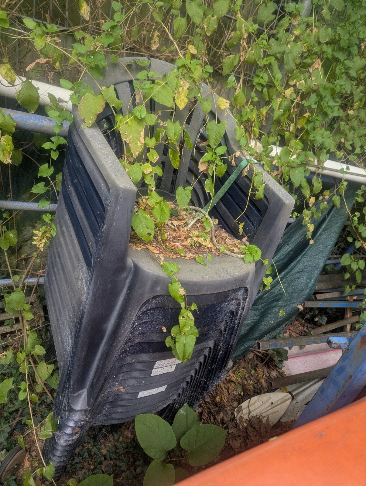 20 donkerblauwe plastic tuinstoelen, Tuin en Terras, Tuinstoelen, Ophalen of Verzenden, Gebruikt, Plastic, Stapelbaar
